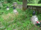 b_150_100_16777215_00_images_malopolskie5_rabka233c.JPG