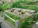 b_150_100_16777215_00_images_malopolskie5_rabka_zoln2.JPG