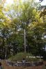 b_150_100_16777215_00_images_malopolskie5_wozniczna178b.JPG