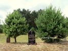 b_150_100_16777215_00_images_malopolskie5_zabno_zyd.jpg