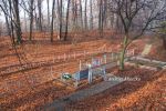 b_150_100_16777215_00_images_malopolskie5_zbgora_buczyna10.jpg