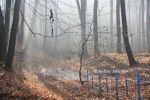 b_150_100_16777215_00_images_malopolskie5_zbgora_buczyna8.jpg