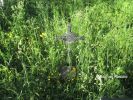 b_150_100_16777215_00_images_malopolskie6_florynka126d.JPG