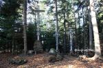 b_150_100_16777215_00_images_malopolskie6_jamna530b.JPG