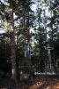 b_150_100_16777215_00_images_malopolskie6_jamna530j.JPG