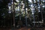 b_150_100_16777215_00_images_malopolskie6_jamna530k.JPG
