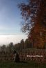 b_150_100_16777215_00_images_malopolskie6_luzna123a2.JPG