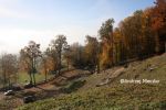 b_150_100_16777215_00_images_malopolskie6_luzna123b2.JPG