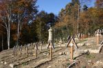 b_150_100_16777215_00_images_malopolskie6_luzna123d.JPG