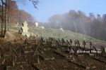 b_150_100_16777215_00_images_malopolskie6_luzna123k.JPG