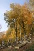 b_150_100_16777215_00_images_malopolskie6_luzna123m.JPG