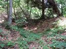 b_150_100_16777215_00_images_malopolskie6_muszynka4.JPG