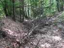 b_150_100_16777215_00_images_malopolskie6_muszynka6.JPG