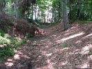 b_150_100_16777215_00_images_malopolskie6_muszynka7.JPG
