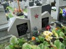 b_150_100_16777215_00_images_malopolskie6_niepolom_radz.JPG