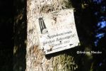 b_150_100_16777215_00_images_malopolskie6_polich3.JPG