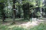 b_150_100_16777215_00_images_malopolskie7_dabry10.JPG