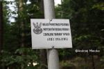 b_150_100_16777215_00_images_malopolskie7_dabry12.JPG