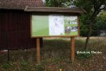 b_150_100_16777215_00_images_malopolskie7_dabry15.JPG