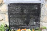 b_150_100_16777215_00_images_malopolskie7_dabry6.JPG