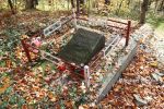 b_150_100_16777215_00_images_malopolskie7_jodl_jawor.JPG