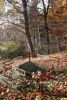 b_150_100_16777215_00_images_malopolskie7_jodl_jawor2.JPG