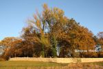 b_150_100_16777215_00_images_malopolskie7_limanowca368t.JPG