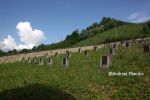 b_150_100_16777215_00_images_malopolskie7_ostrusza143e.JPG