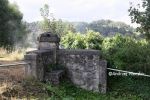 b_150_100_16777215_00_images_malopolskie7_rzep114f.JPG