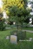 b_150_100_16777215_00_images_malopolskie7_slomniki_dab.JPG