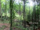 b_150_100_16777215_00_images_malopolskie7_stroska_miejsce8.JPG