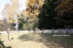 b_150_100_16777215_00_images_malopolskie7_szerzyny33.JPG