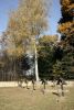 b_150_100_16777215_00_images_malopolskie7_szerzyny33e.JPG