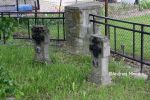 b_150_100_16777215_00_images_malopolskie8_dabtuch157e.JPG