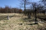 b_150_100_16777215_00_images_malopolskie8_porabka280h.JPG
