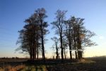 b_150_100_16777215_00_images_malopolskie_biskupice257e.jpg