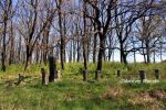 b_150_100_16777215_00_images_malopolskie_brzesko_zyd2.jpg