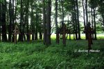 b_150_100_16777215_00_images_malopolskie_czarne53.jpg