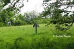b_150_100_16777215_00_images_malopolskie_czarne53f.jpg