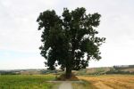b_150_100_16777215_00_images_malopolskie_dziemierzyce1.jpg