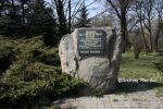b_150_100_16777215_00_images_opolskie_brzeg_mucha.JPG