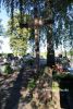 b_150_100_16777215_00_images_podkarpackie2_nzmigrod_bolsz.JPG