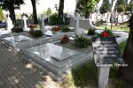 b_150_100_16777215_00_images_podkarpackie2_radomysl_cmen3.JPG