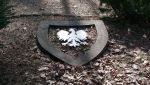 b_150_100_16777215_00_images_podkarpackie3_goleczyna3.JPG