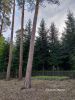 b_150_100_16777215_00_images_podkarpackie4_cieklin14m.jpg