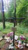 b_150_100_16777215_00_images_podkarpackie4_warzyce9.JPG