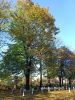 b_150_100_16777215_00_images_tarnow2_tarnow_200g.jpg