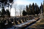 b_150_100_16777215_00_images_tarnow_tar_krzyz_radz.jpg