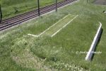 b_150_100_16777215_00_images_zagranica_zadworze8.jpg