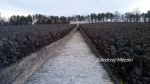 b_150_100_16777215_00_images_lubelskie_belzec18.jpg